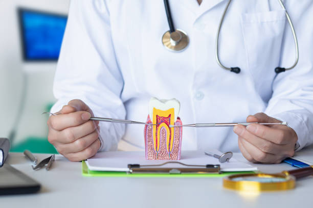 Best Walk-In Emergency Dental Services in Olmsted Falls, OH